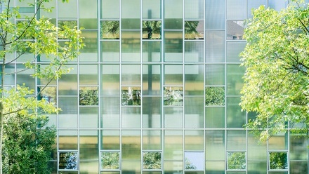 Sicht auf die Fensterfront der Bibliothek am Deutschen Seminar.